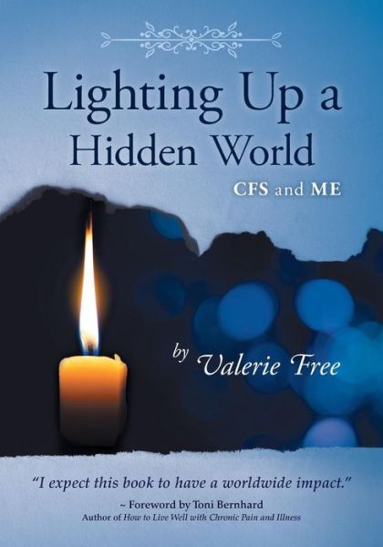 Cover for Valerie Free · Lighting Up a Hidden World (Paperback Book) (2016)
