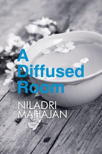 Cover for Niladri Mahajan · A Diffused Room (Paperback Book) (2015)