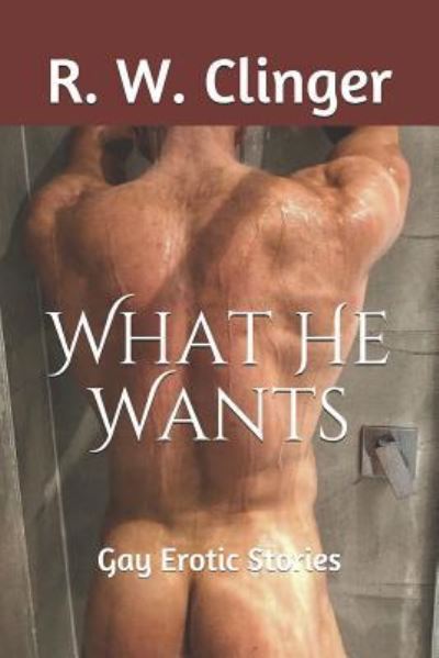 Cover for R W Clinger · What He Wants (Paperback Book) (2017)