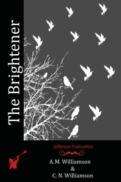 Cover for C N Williamson · The Brightener (Paperback Book) (2016)