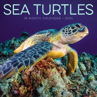 Cover for Willow Creek Press · Sea Turtles 2024 12 X 12 Wall Calendar (Calendar) (2023)