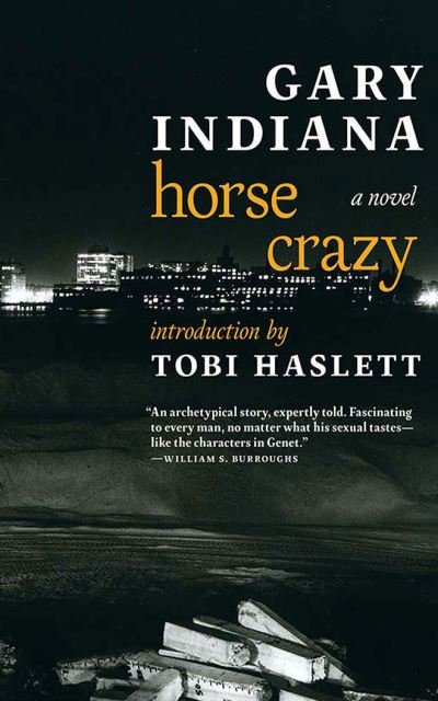 Cover for Gary Indiana · Horse Crazy (CD) (2020)