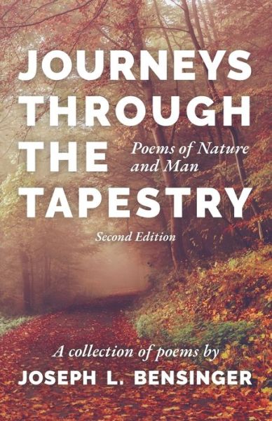 Cover for Amazon Digital Services LLC - KDP Print US · Journeys through the Tapestry (Paperback Book) (2021)