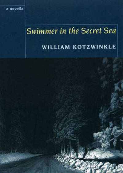 Swimmer in the Secret Sea - William Kotzwinkle - Kirjat - Five Leaves Publications - 9781905512508 - perjantai 19. maaliskuuta 2010