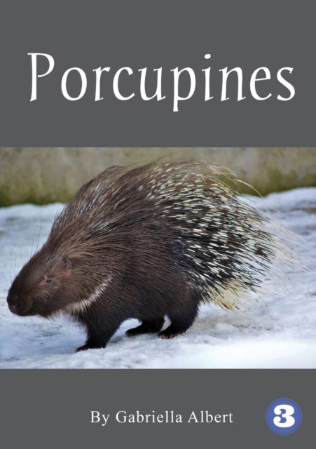 Cover for Gabriella Albert · Porcupines (Paperback Book) (2019)