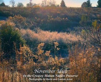 Cover for Karin Acree · November Idyll (Gebundenes Buch) (2019)