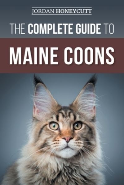 Cover for Jordan Honeycutt · Complete Guide to Maine Coon Cats (Bok) (2022)