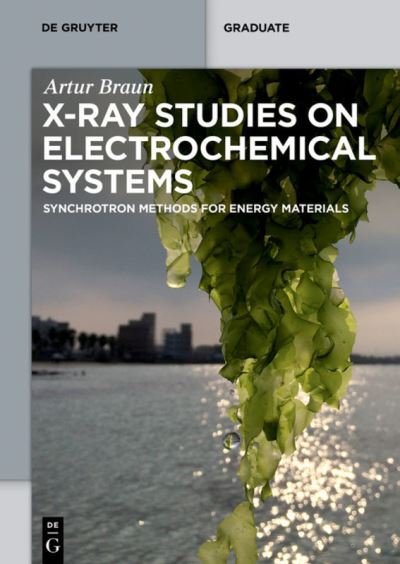 Cover for Braun · X-ray Studies on Electrochemical (Book) (2017)