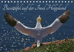 Cover for Konieczka · Basstölpel auf der Insel Helg (Book)