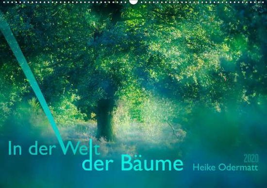 Cover for Odermatt · In der Welt der Bäume (Wandkal (Book)