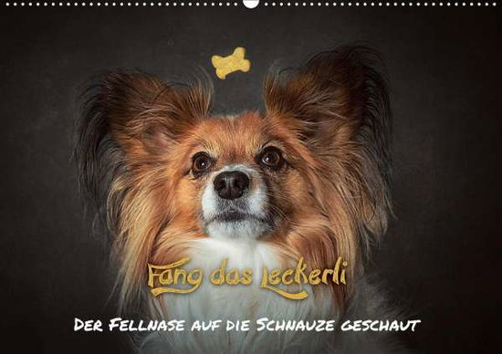 Cover for Schöberl · Fang das Leckerli! (Wandkalend (Book)