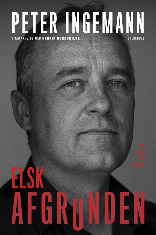 Cover for Henrik Nordskilde; Peter Ingemann · Elsk afgrunden (Hæftet bog) [1. udgave] (2019)
