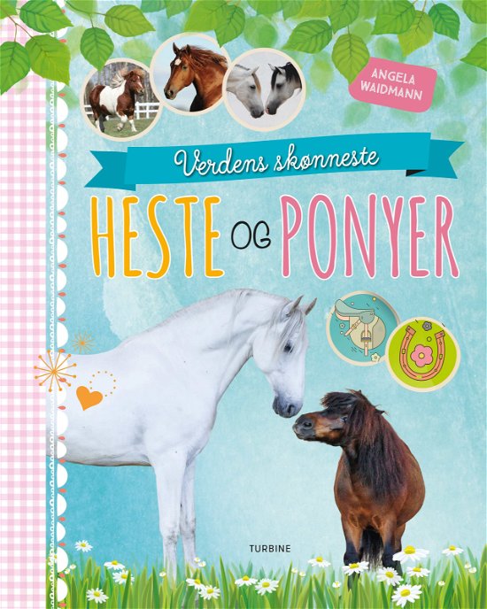 Verdens skønneste heste og ponyer - Angela Waidmann - Bøger - Turbine - 9788740651508 - 14. januar 2019