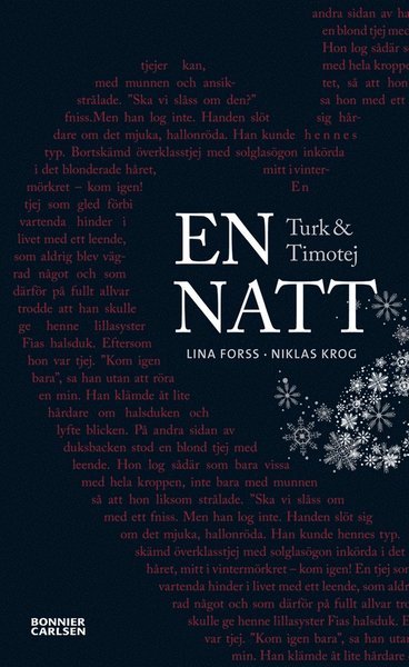 Cover for Niklas Krog · Turk och Timotej - En natt (ePUB) (2012)