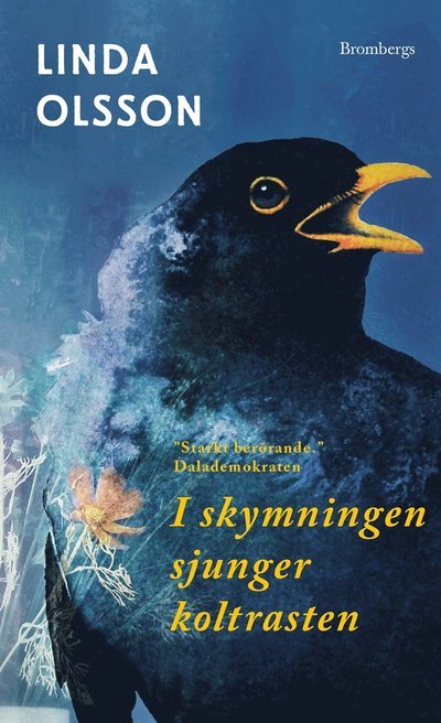 Cover for Linda Olsson · I skymningen sjunger koltrasten (Lydbog (MP3)) (2020)