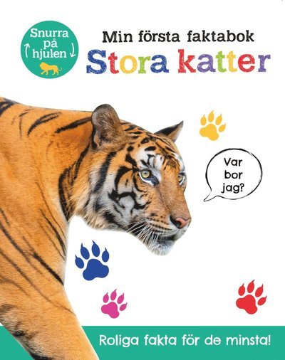Cover for Georgie Taylor · Min första faktabok - Stora katter (Board book) (2022)