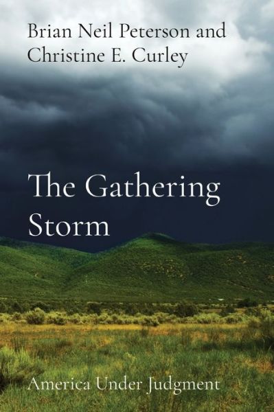 Cover for Brian Neil Peterson · The Gathering Storm: America Under Judgment (Paperback Book) (2022)