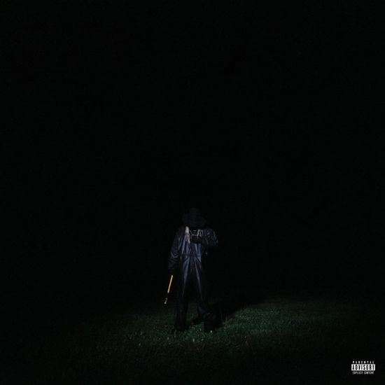 If Looks Could Kill - Destroy Lonely - Music - INTERSCOPE - 0602455684509 - May 12, 2023
