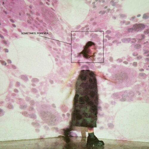 Sometimes, Forever - Soccer Mommy - Music - LOMA VISTA - 0888072421509 - June 24, 2022