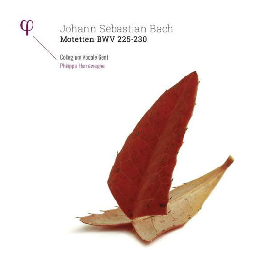 Bach: Motetten Bwv 225-230 - Collegium Vocale Gent / Philippe Herreweghe - Musiikki - PHI - 5400439009509 - torstai 20. huhtikuuta 2017