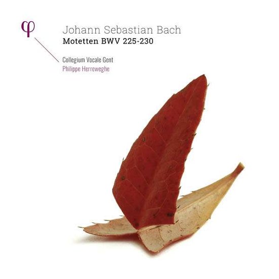 Motetten Bwv 225-230 - J.S. Bach - Musik - PHI - 5400439009509 - 9. marts 2017