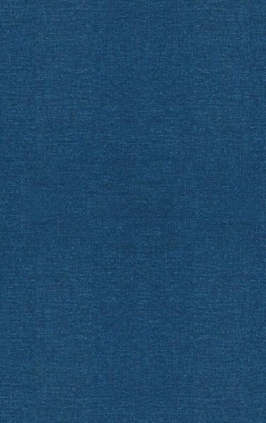 Cover for Dubois, Didier J. (Directeur de Recherches CNRS, Paris, Laboratoire IRIT and Universite Paul Sabatier, Toulouse, France) · Fuzzy Sets and Systems: Theory and Applications (Hardcover Book) (1980)
