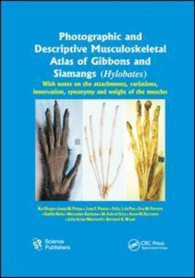 Cover for Rui Diogo · Photographic and Descriptive Musculoskeletal Atlas of Gibbons and Siamangs (Hylobates): With Notes on the Attachments, Variations, Innervation, Synonymy and Weight of the Muscles (Paperback Bog) (2019)