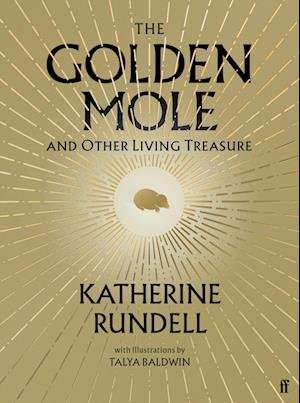 Cover for Katherine Rundell · The Golden Mole: and Other Vanishing Treasure (Pocketbok) [Main edition] (2023)
