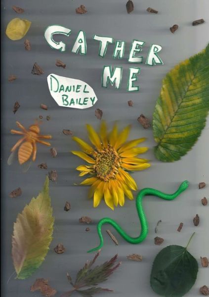 Cover for Daniel Bailey · Gather Me (Taschenbuch) (2013)