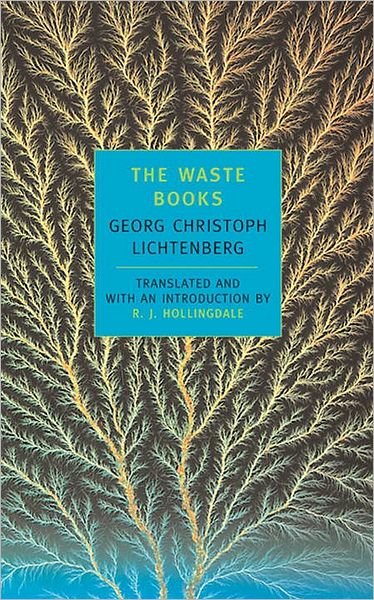 Cover for Georg Christoph Lichtenbe · The Waste Books (Pocketbok) [Main edition] (2000)
