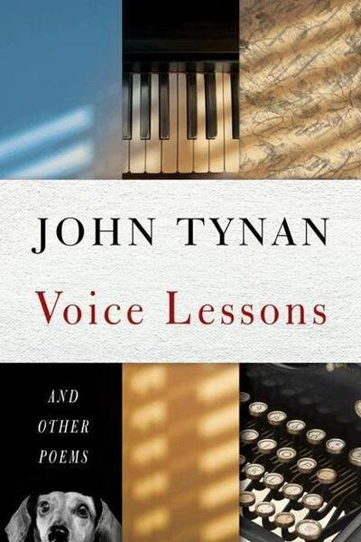 Cover for John Tynan · Voice Lessons (Paperback Book) (2015)