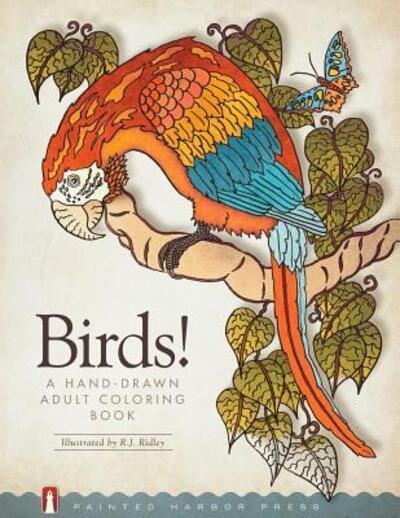 Cover for Painted Harbor Press · Birds! (Paperback Bog) (2016)