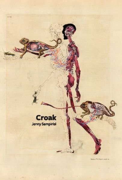 Cover for Jenny Sampirisi · Croak (Pocketbok) (2012)