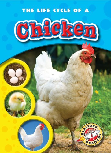 Cover for Colleen Sexton · The Life Cycle of a Chicken (Blastoff! Readers: Life Cycles) (Blastoff! Readers: Life Cycle of A... Level 3) (Hardcover Book) (2010)