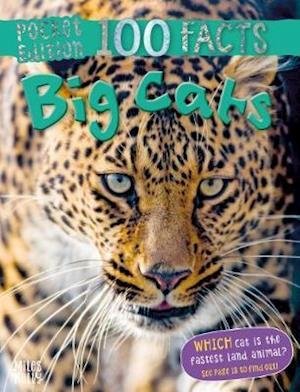 Cover for Camilla De La Bedoyere · 100 Facts Big Cats Pocket Edition (Paperback Bog) (2019)