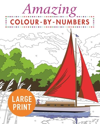 Cover for Arcturus Publishing Limited · Amazing Colour-by-Numbers Large Print - Arcturus Large Print Colour by Numbers Collection (Paperback Bog) (2019)