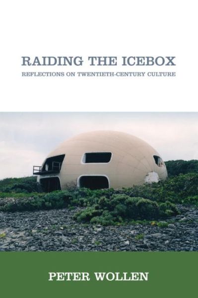 Raiding the Icebox: Reflections on Twentieth-Century Culture - Peter Wollen - Books - Verso Books - 9781844672509 - August 17, 2008