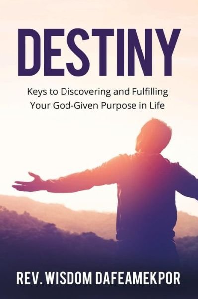 Cover for Wisdom Dafeamekpor · Destiny (Paperback Bog) (2019)