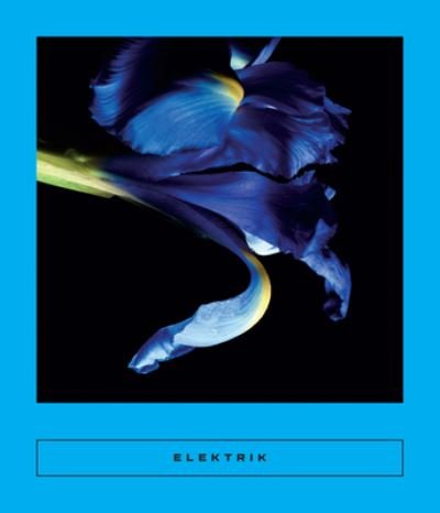 Cover for Sarah Coolidge · Elektrik (Book) (2023)