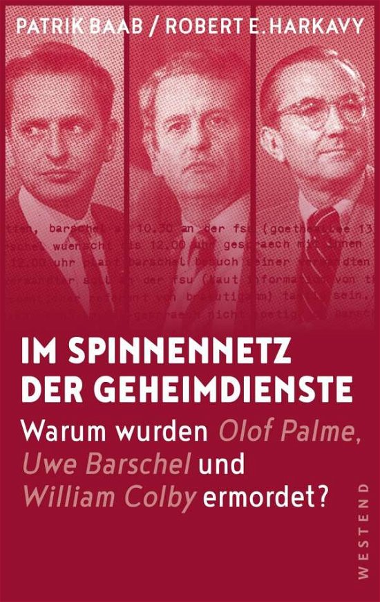 Cover for Baab · Im Spinnennetz der Geheimdienste (Bog)