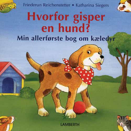 Cover for Friederun Reichenstetter · Hvorfor gisper en hund (Cardboard Book) [1.º edición] (2011)