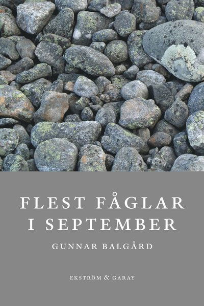 Cover for Gunnar Balgård · Flest fåglar i september (Buch) (2022)