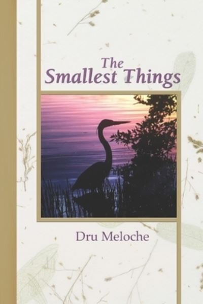 Cover for Dru Meloche · The Smallest Things (Pocketbok) (2021)