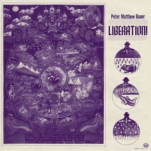 Cover for Peter Matthew Bauer · Liberation (LP) (2014)