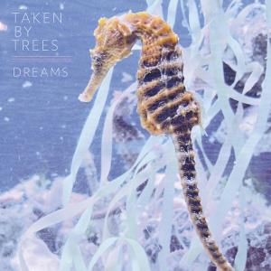 Dreams - Taken By Trees - Music - SECRETLY CANADIAN - 0656605026510 - August 13, 2012