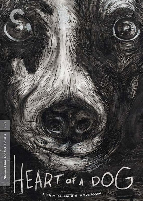 Cover for DVD · Heart of a Dog (DVD) (2019)