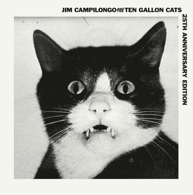 Cover for Campilongo,jim / Ten Gallon Cats · Campilongo Jim &amp; 10 Gallon Cats (LP) (2021)