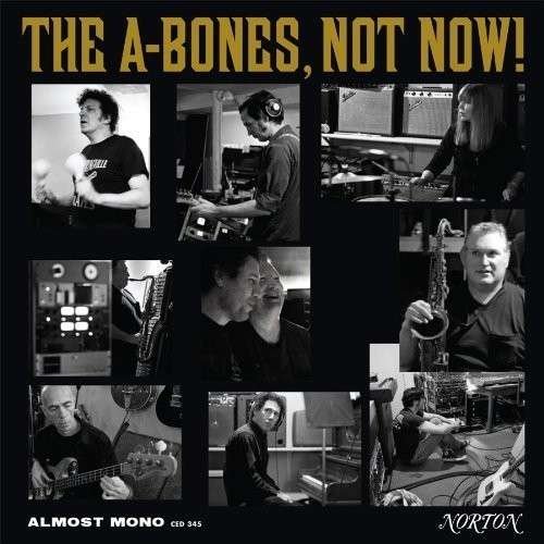 Cover for A-bones · Not Now (LP) (2016)