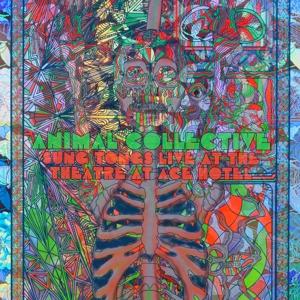 Cover for Animal Collective · Sung Tongs Live at the Theatre at Ace Hotel (Light Green and Neon Orange) (LP) [Reissue edition] (2024)