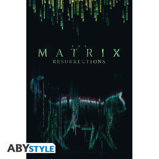 Cover for Großes Poster · THE MATRIX - Poster Cat (91.5x61) (Toys) (2019)